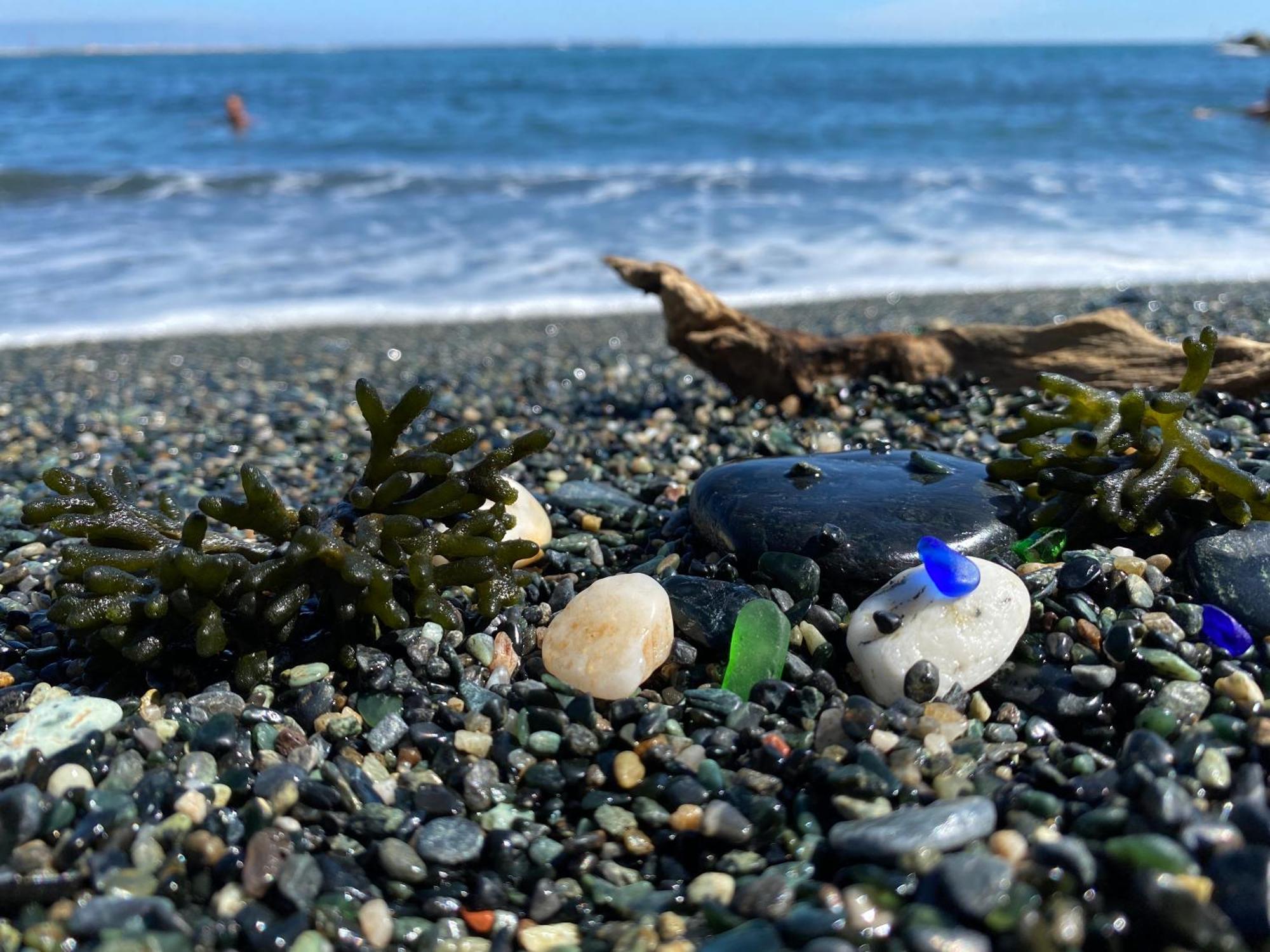 Appartamento La Casa Di Dory In Primopiano Genova Esterno foto